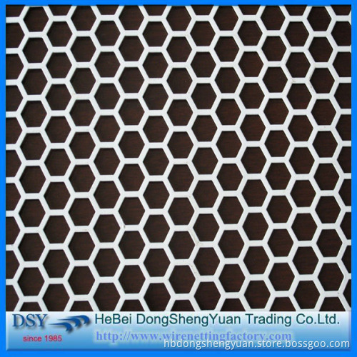Perforated sheet/Perforated metal sheet/Perforated steel sheet